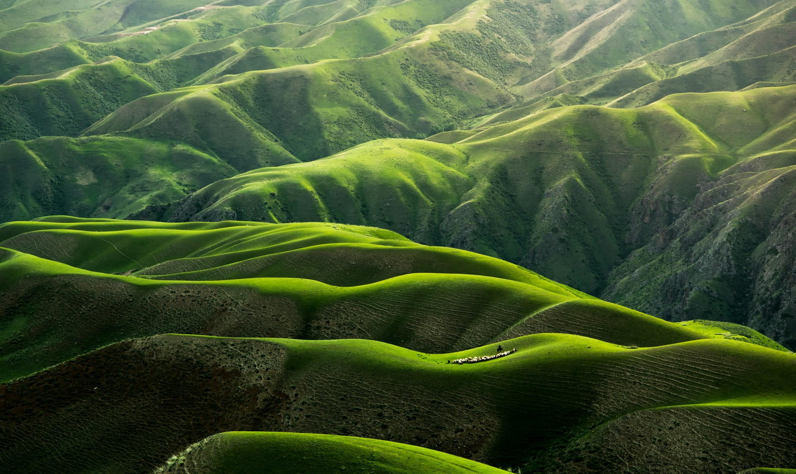 Ooty